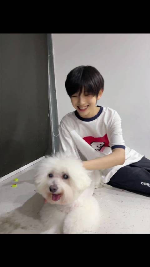 ［产出］ “爱人是不用教的，小狗也是” 陈浚铭 四代第一门面