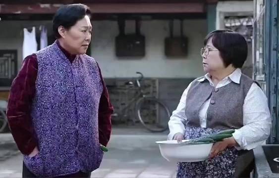 当婆婆遇到姑奶奶,两个老太婆太逗了 平凡岁月